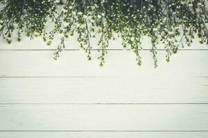 White flower on white wood board background with space. photo