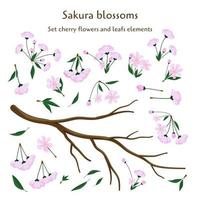 conjunto Cereza flores y hojas elementos. sakura flores rama. realista plano vector ilustración