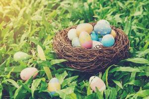 Colorful easter eggs and nest on green grass with sunlight. vintage toned. photo