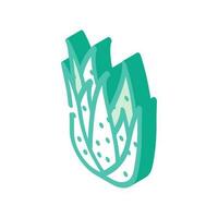 natural aloe vera isometric icon vector illustration