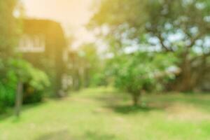 defocused bokeh and blur background of garden trees in sunlight. photo