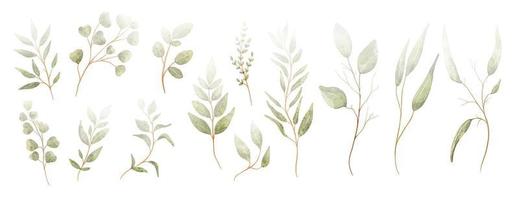conjunto de elementos de hojas verdes acuarelas. vector botánico de colección aislado en fondo blanco adecuado para invitación de boda, guardar la fecha, gracias o tarjeta de felicitación.