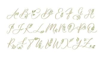 Vector of stylized botanical calligraphic font and alphabet.