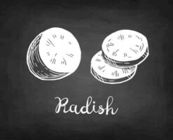 Radish. Chalk sketch on blackboard background. Hand drawn vector illustration. Retro style.