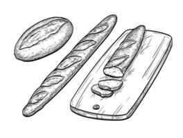 Baguette and rustic bread. Hand drawn vector illustration. Isolated on white background. Vintage style.