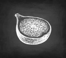 Halved fig fruit. Chalk sketch on blackboard background. Hand drawn vector illustration. Retro style.