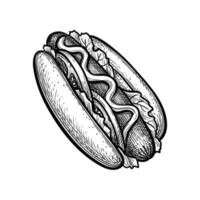 Hot dog. Ink sketch isolated on white background. Hand drawn vector illustration. Retro style.