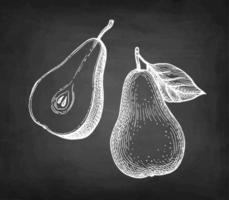 Pear. Chalk sketch on blackboard background. Hand drawn vector illustration. Retro style.