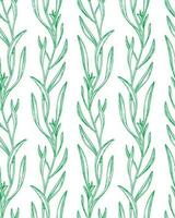 Seamless pattern with tarragon. Summer or spring background. Hand drawn vector illustration.