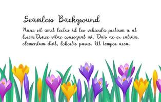 Floral seamless background. Banner template. Spring and summer design element. vector