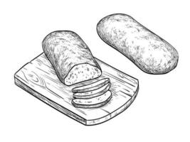 mano dibujado vector ilustración de ciabatta un pan. aislado en blanco antecedentes. Clásico estilo.