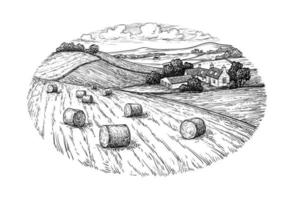 Rural landscape with hay bales. Wheat field and farm. Countryside scenery. Retro style. vector