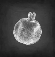 Pomegranate. Chalk sketch on blackboard background. Hand drawn vector illustration. Retro style.
