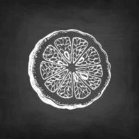 Slice of bergamot orange. Chalk sketch on blackboard background. Hand drawn vector illustration. Retro style.