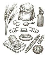 Ingredients and bread set. Hand drawn vector illustration. Isolated on white background. Vintage style.