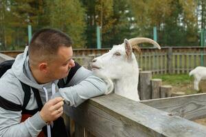 a man feeding an apple to a goat in the zoo photo