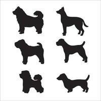 Dog pose set vector illustration