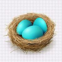 Easter blue eggs in a nest, isolated design element. vector