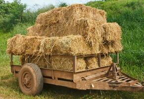 Hay wagon in farm photo