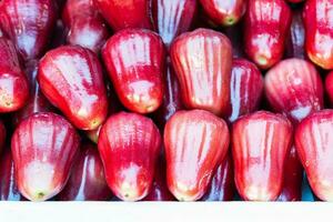 Group of red rose apple photo