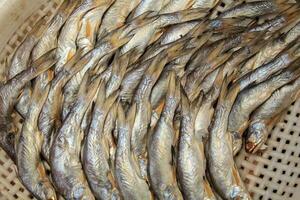 seco mar pescado es un tradicional preservación a ser comido en veces de escasez y vendido en consumidor mercados y en línea durante el devastador covid-19 pandemia. foto