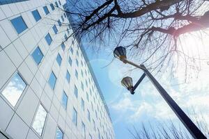 Look up view of office building exterior and silhouette of tree branches and lamp post on bright blue sky and lens flare with sun light background. photo