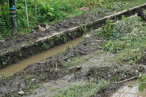 you can see the muddy ground from the rain photo