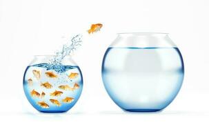 Red fish jumps from a full of fishes cruet to an empty and bigger one. concept of escape from crowd photo