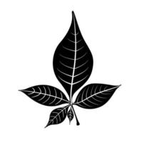 The five Bilva leaf Belpatra vector icon in black color.