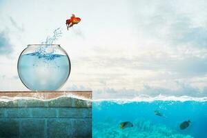 pez de colores saltos fuera de el acuario a lanzar sí mismo dentro el mar foto