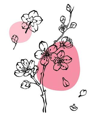 Spring blossom monochrome line art floral set with abstrat pink color spots. Blooming apple branch, flowers and petals collection. Hand drawn vector illustration