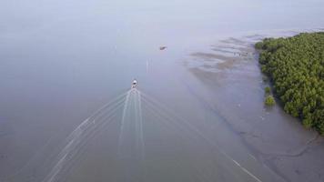 Aerial view fishing boat move near mangrove swamp. video