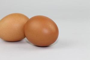 Two chicken eggs laying on a white background photo