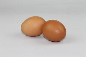 Two chicken eggs laying on a white background photo