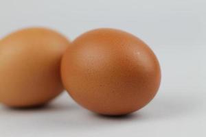 Two chicken eggs laying on a white background photo