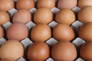 un montón de marrón pollo huevos en huevo bandejas para venta. foto