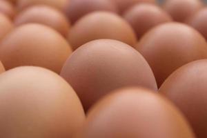 un montón de marrón pollo huevos en huevo bandejas para venta. foto