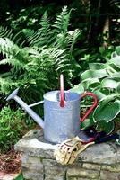 Metal watering can and garden gloves photo