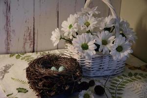 Easter basket and robin's eggs photo