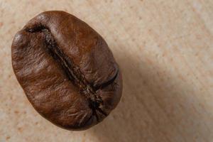 Close up at coffee bean photo