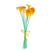 Bouquet of calla lilies isolated on a white background. Vector graphics.