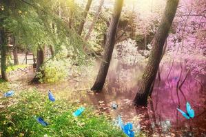 Magic forest view photo