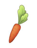 Drawing carrots in a cartoon style. Isolated vector object for decor. Illustration for children, children's design.
