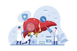 Doctor make liver examination design concept vector