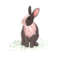 Easter bunny on grass png