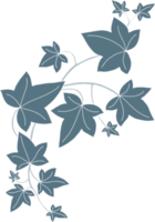 Simplicity ivy freehand drawing png