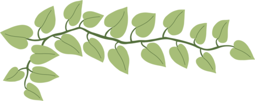Simplicity ivy freehand drawing. png