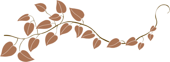 Simplicity ivy freehand drawing png