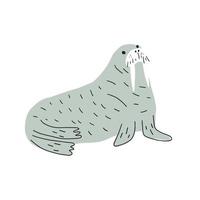 Cute walrus in Scandinavian style on a white background. Vector hand drawn kids illustration. Sea ocean. Underwater world