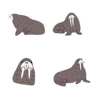 Cute walrus in Scandinavian style on a white background. Vector hand drawn kids illustration. Sea ocean. Underwater world